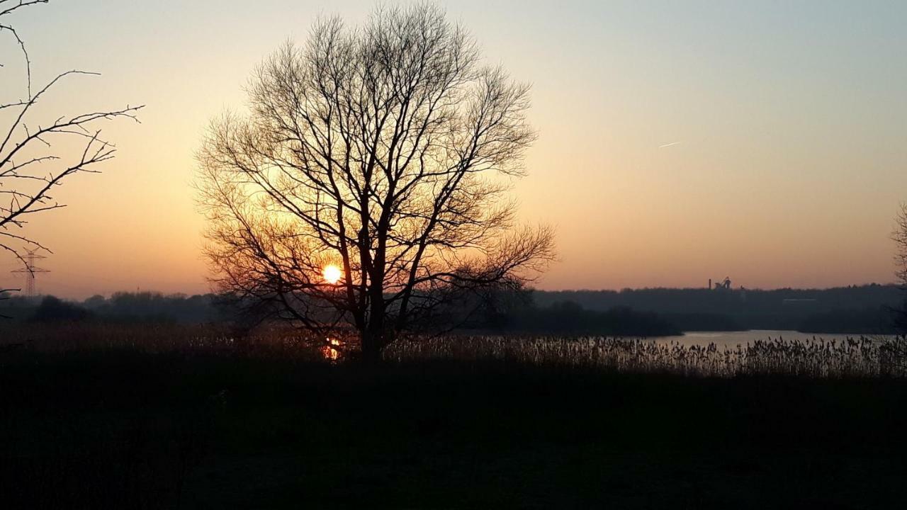 דירות קיל Moin, Moin & Ahoi! מראה חיצוני תמונה